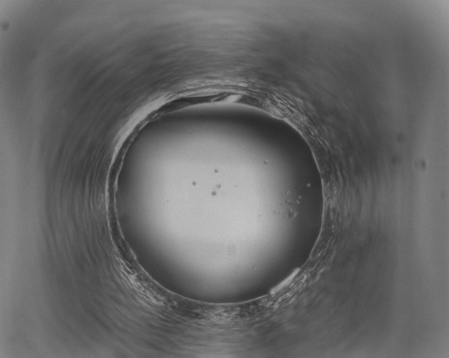 X0000067520148200604101335