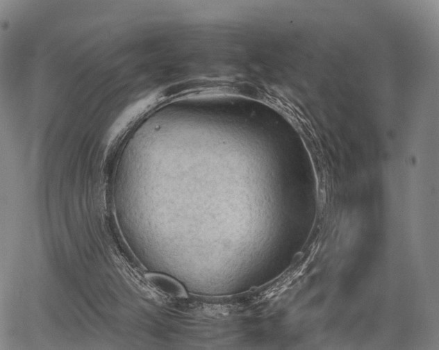 X0000067520149200604101335