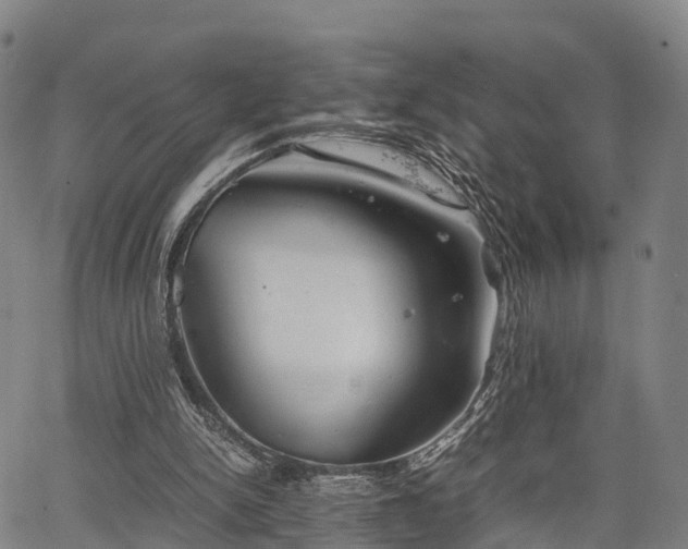 X0000067520150200604101335