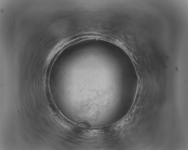 X0000067520151200604101335