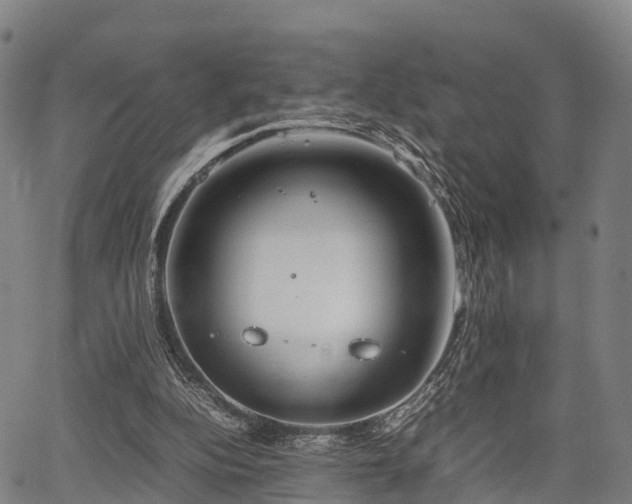 X0000067520152200604101335