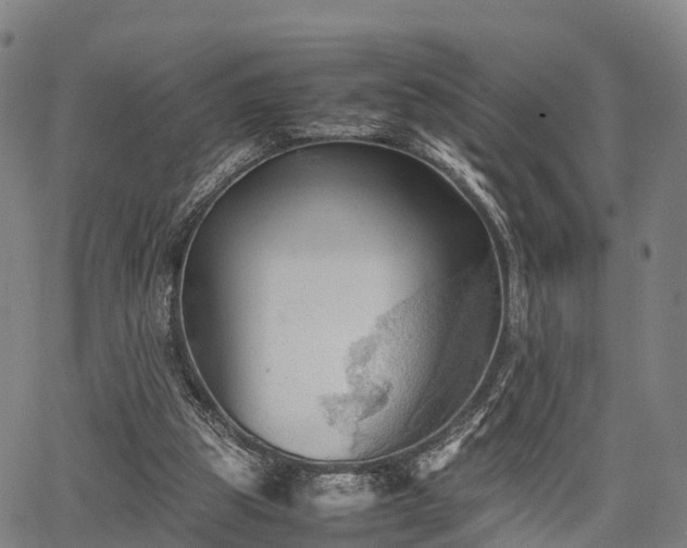 X0000067520153200604101335