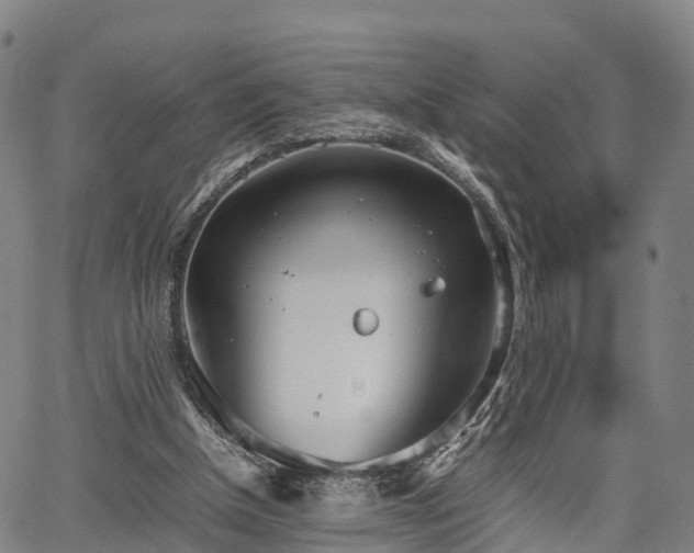 X0000067520154200604101335