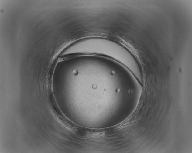 X0000067520155200604101335