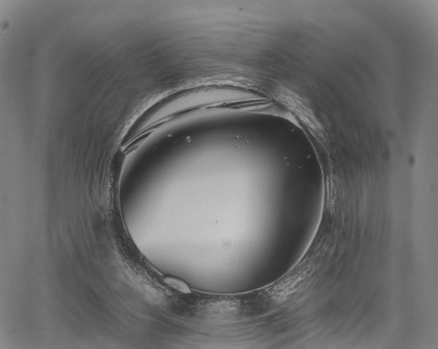 X0000067520156200604101335