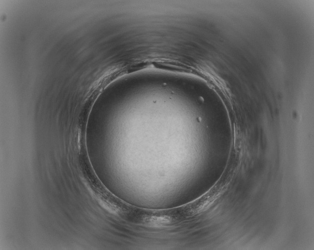 X0000067520157200604101335