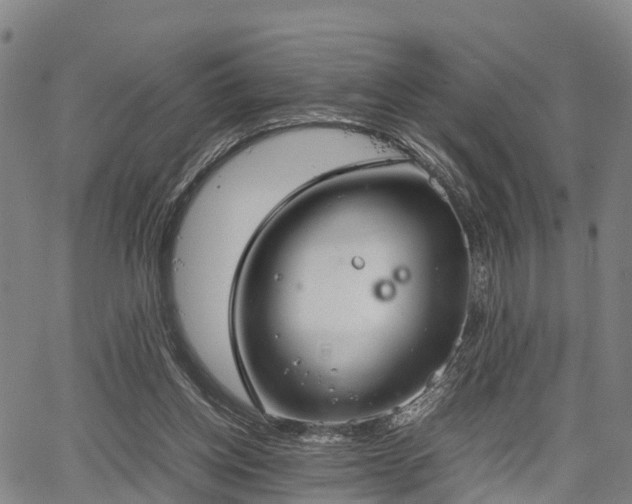 X0000067520158200604101335