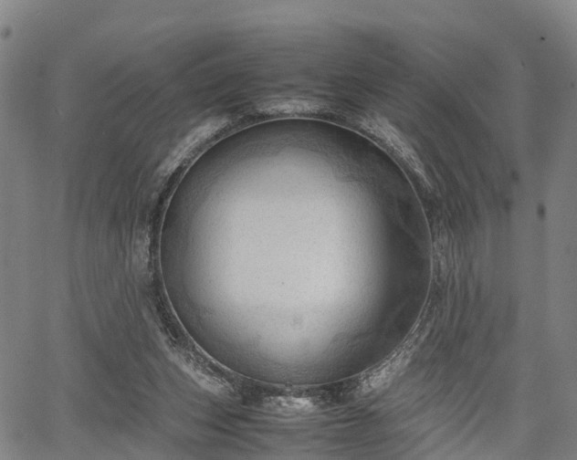 X0000067520159200604101335