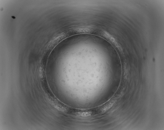 X0000067520161200604101335