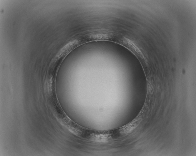 X0000067520163200604101335