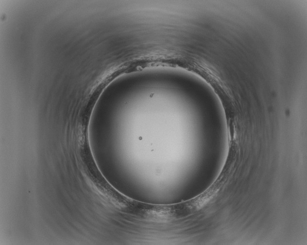 X0000067520164200604101335