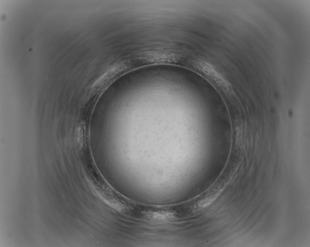 X0000067520165200604101335