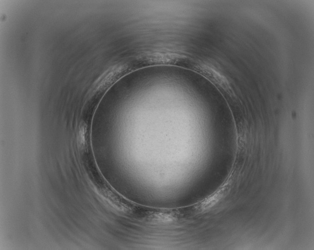 X0000067520166200604101335