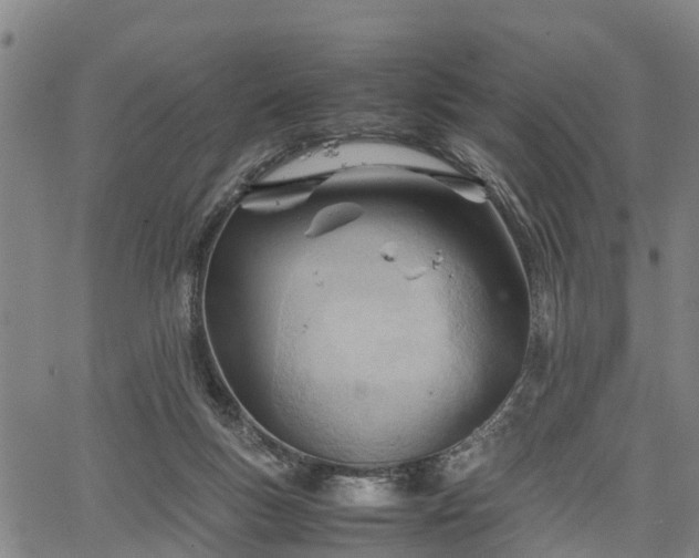 X0000067520167200604101335