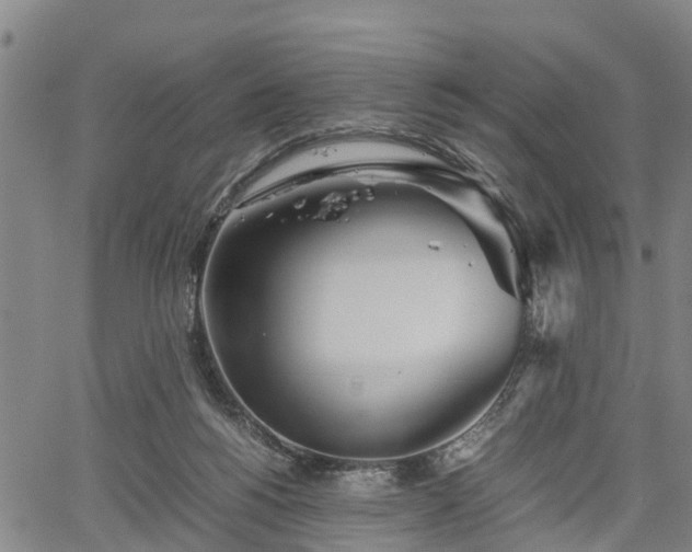 X0000067520168200604101335