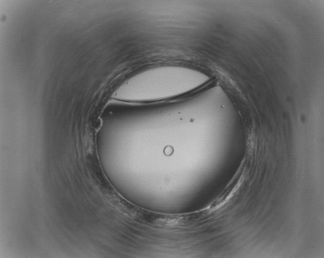 X0000067520170200604101335