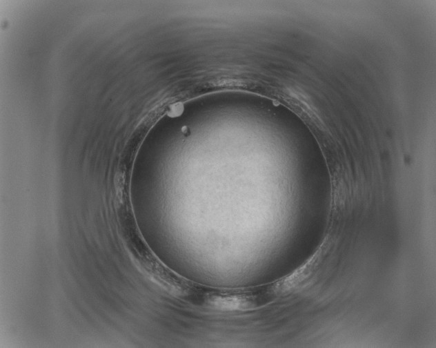 X0000067520171200604101335