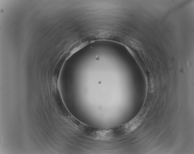 X0000067520172200604101335