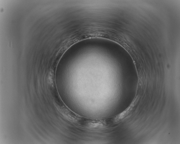 X0000067520175200604101335