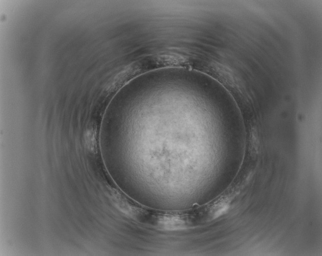 X0000067520177200604101335