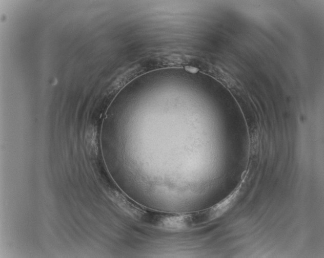 X0000067520178200604101335