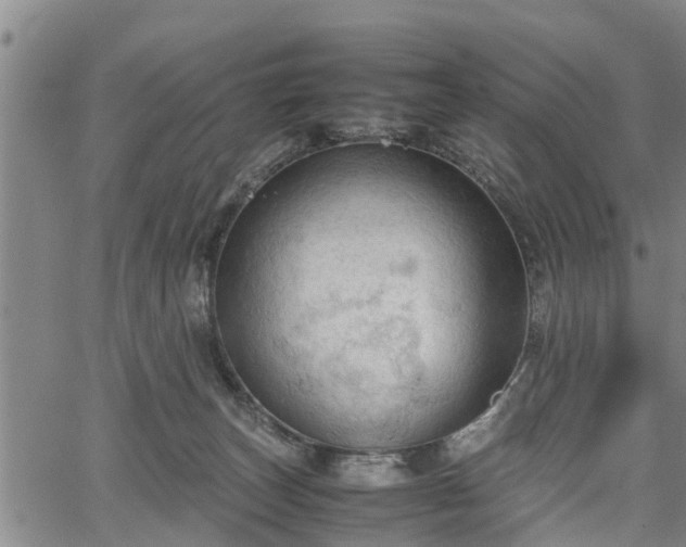 X0000067520179200604101335