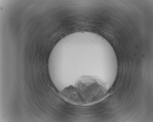 X0000067520181200604101335