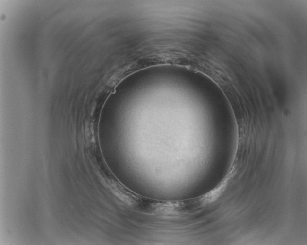 X0000067520182200604101336