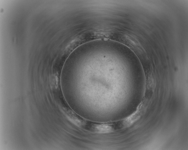 X0000067520183200604101336