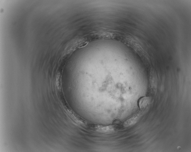 X0000067520185200604101336