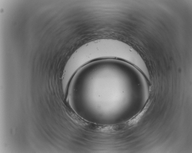 X0000067520186200604101336