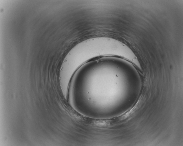 X0000067520187200604101336