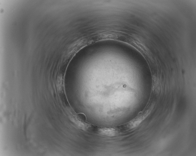 X0000067520189200604101336