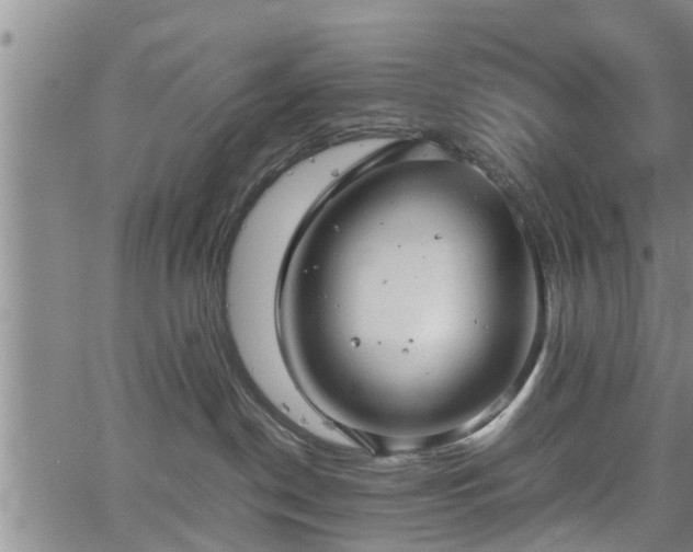 X0000067520190200604101336