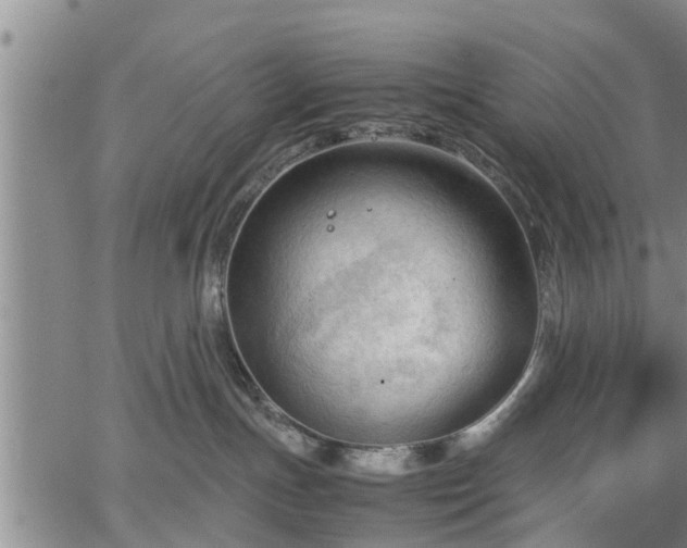 X0000067520191200604101336