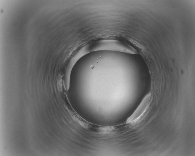 X0000067520192200604101336