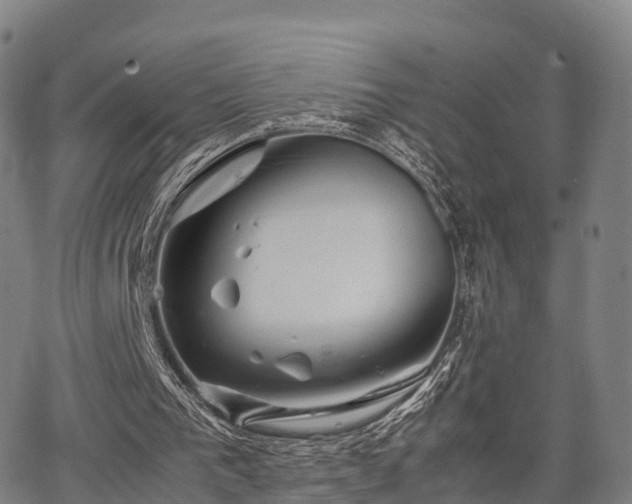 X0000067520193200604101335