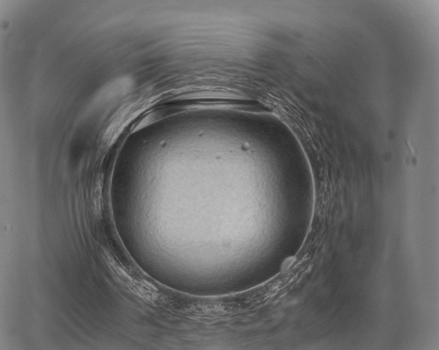 X0000067520194200604101335