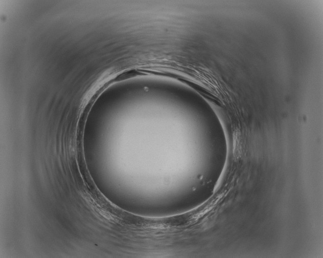 X0000067520195200604101335