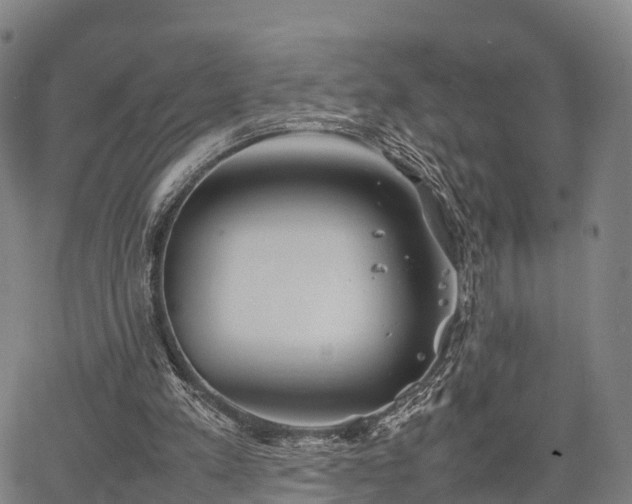 X0000067520197200604101335