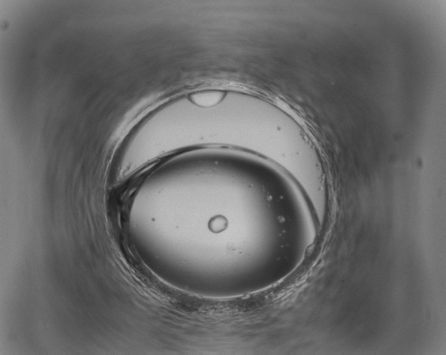 X0000067520199200604101335