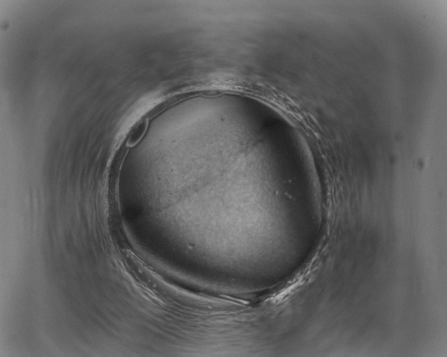 X0000067520200200604101335