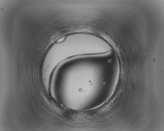 X0000067520201200604101335