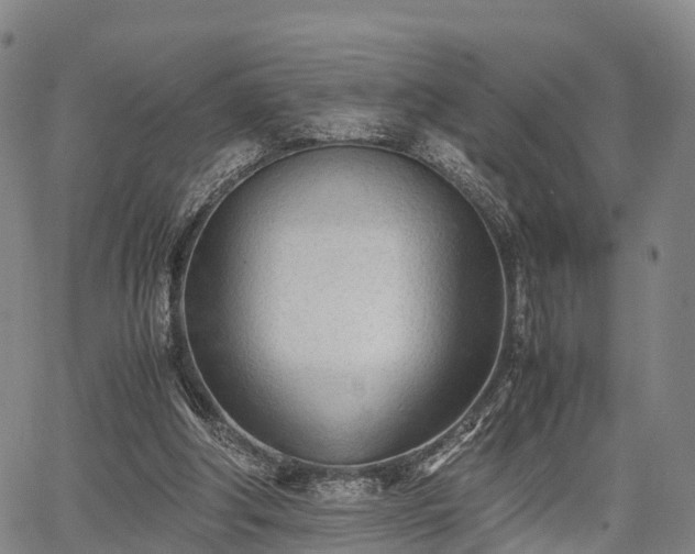 X0000067520202200604101335