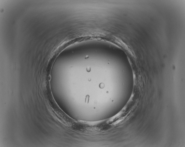 X0000067520203200604101335