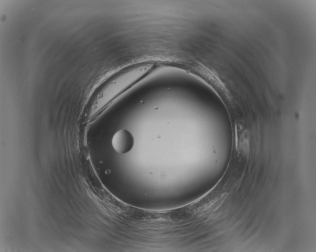 X0000067520204200604101335