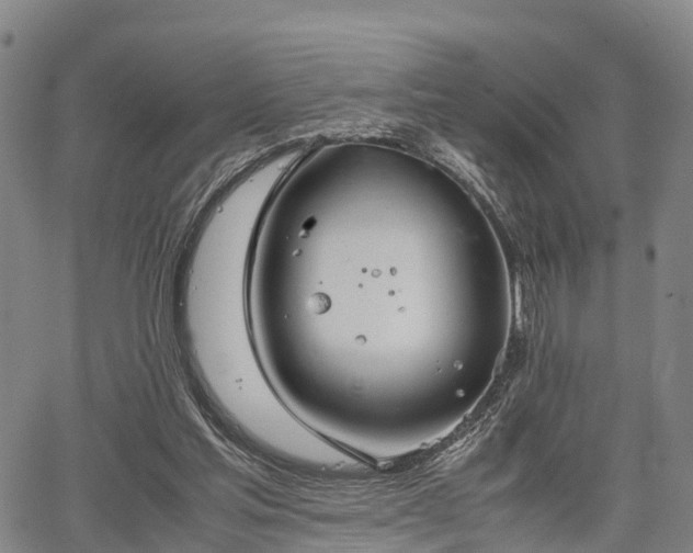 X0000067520205200604101335