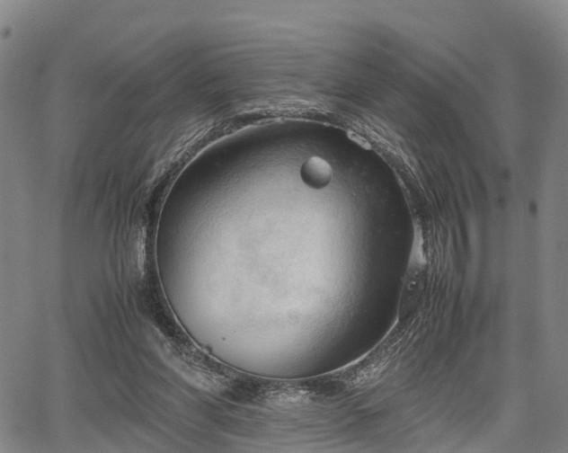 X0000067520206200604101335