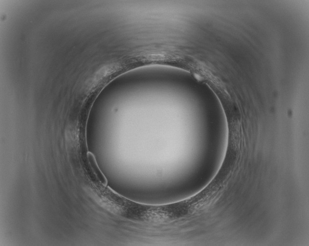 X0000067520207200604101335