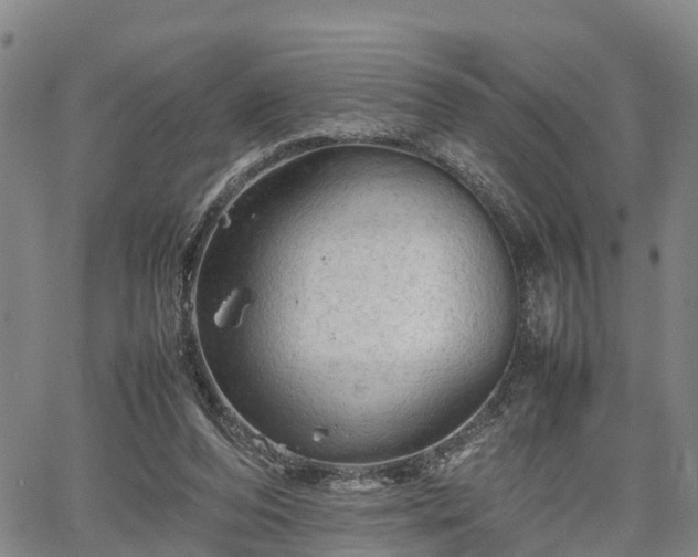 X0000067520208200604101335